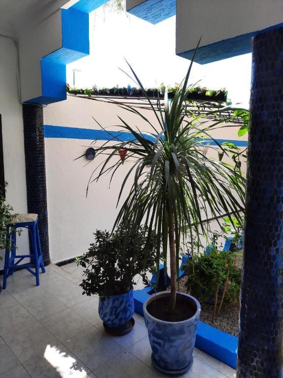 Maison D Hotes Marine Ksar Sghir Exteriér fotografie
