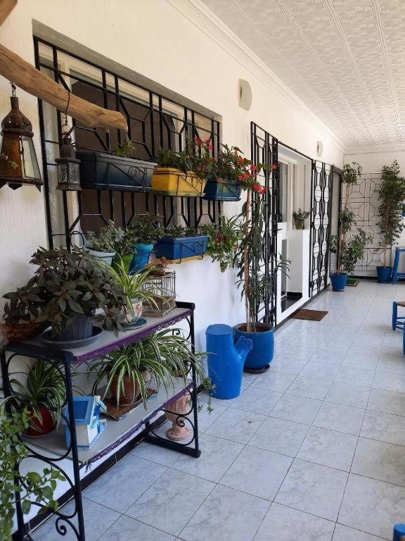 Maison D Hotes Marine Ksar Sghir Exteriér fotografie