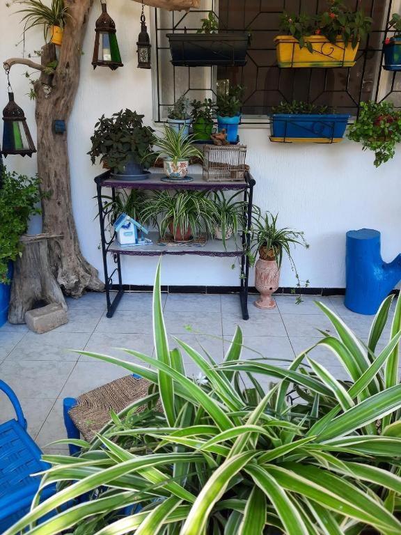 Maison D Hotes Marine Ksar Sghir Exteriér fotografie