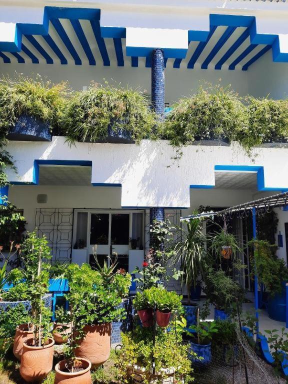Maison D Hotes Marine Ksar Sghir Exteriér fotografie